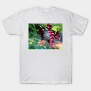 Pheasant Berry T-Shirt